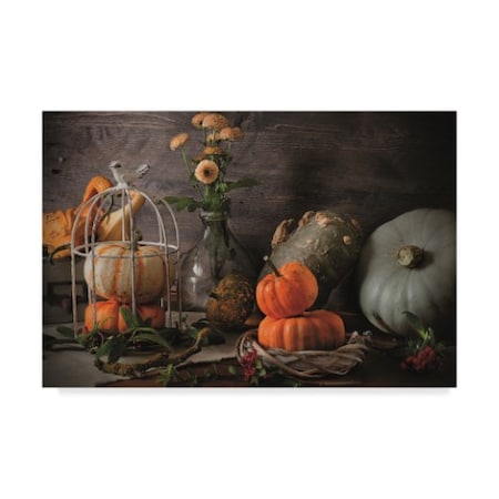 Christine Sainte-Laudy 'Pumpkin Family' Canvas Art,16x24